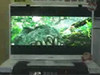  Һ LT42810DU